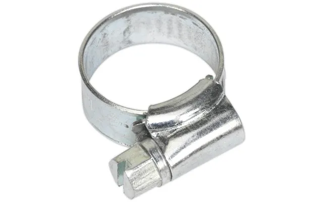 Sealey Zinc Plated Hose Clips 13mm - 19mm Pack Of 30 product image