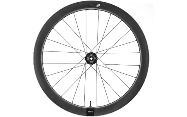 Giant Slr 2 50 Disc Brake Rear Wheel