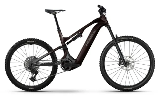 Haibike Allmtn Cf 9