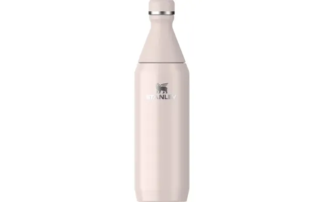 Bottle Stanley The All Day Slim