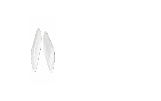 Trekking Pole Tip Protectors Black Diamond X2