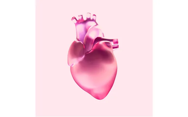 Cardio Adaptability - 1 Year