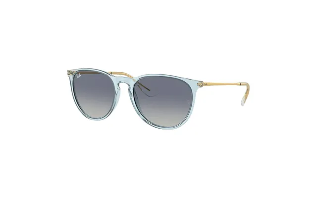 Ray-ban Erika Rb4171 67434l Sunglasses