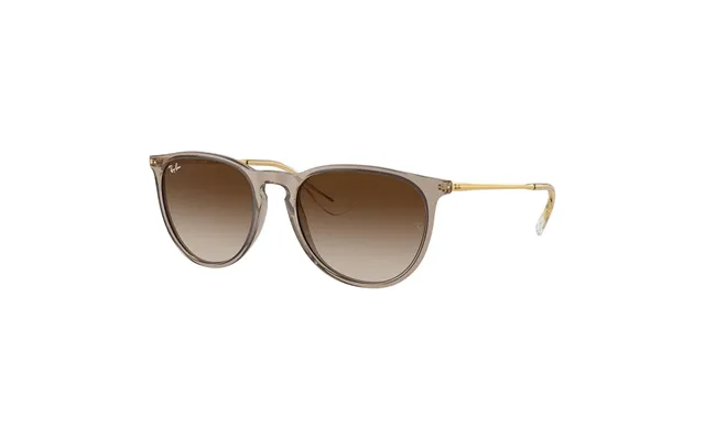 Ray-ban Erika Rb4171 674413 Sunglasses