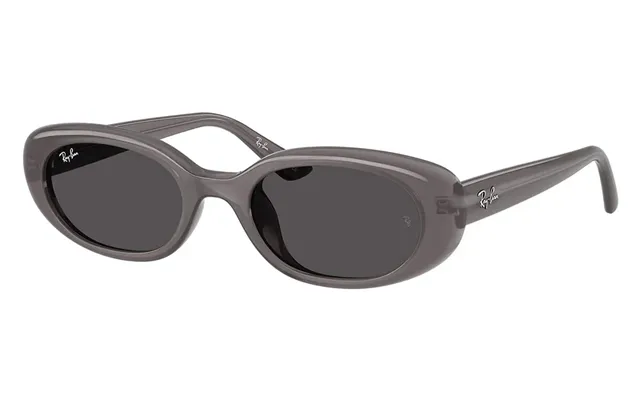 Ray-ban Rb4441d 677787 Sunglasses