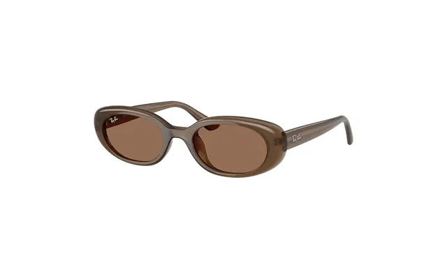 Ray-ban Rb4441d 677973 Sunglasses