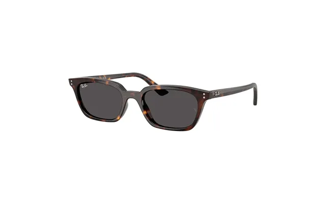 Ray-ban Zaya Rb4456 1359 87 53 Sunglasses
