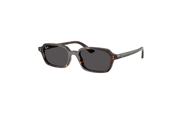 Ray-ban Zuri Rb4455 1359 87 49 Sunglasses