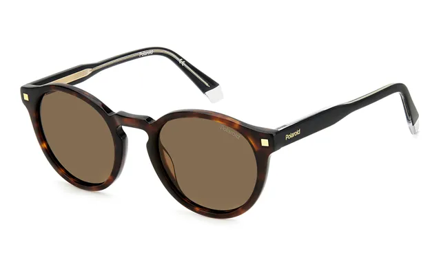 Polaroid Pld 4150 S X 086 Sp Man Sunglasses Acetate Havana Brown Round Polarized