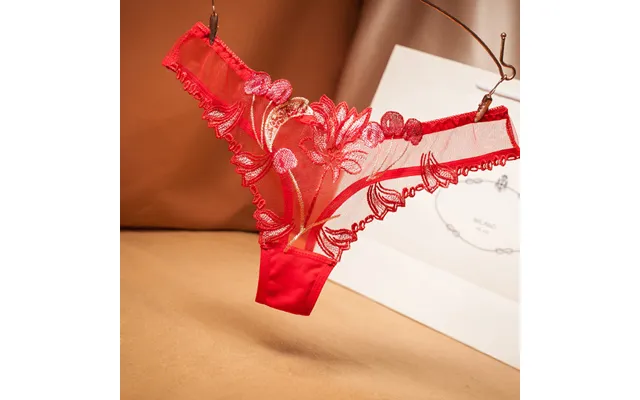 European And American Mesh Full Transparent Embroidery Sexy Women's Underwear Seduction T Pants Women's Thong Pants Wome product image
