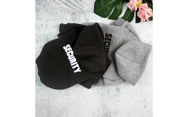 Pet Spring Autumn New Dog Letter Print Sweatshirt Small And Medium-sized Dogs Hooded Two-legged Cat Clothes product image