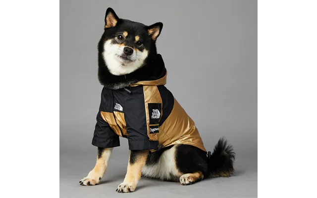 American Flag Tide Brand Windproof And Rainproof North New Dog Large Dog Raincoat Dog Pet Charge Clothes product image