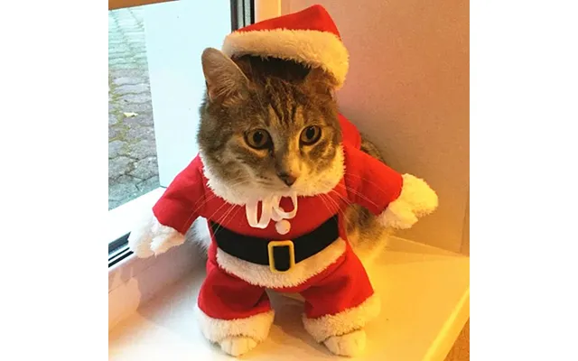 Christmas Costumes Funny Santa Claus Clothes For Small Cats Dogs Xmas New Year Pet Cat Clothing Winter Kitty Kitten product image