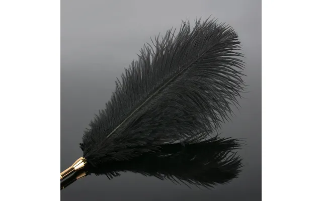 Flirt Whip Bird Feather Flogger Sex Toy Products Bondage Slave Clitoris Erotic For Couples Women Adult Games
