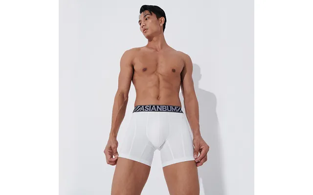 Men's Clothing Men's Mid-waist Nylon Ice Silk Boxer Pants - Breathable product image