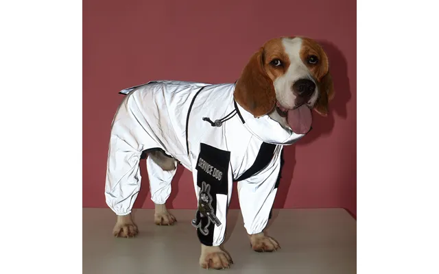 New Pet Reflective Full Coverage Four-legged Large Trendy Dog Raincoat With Attachable Armbands product image