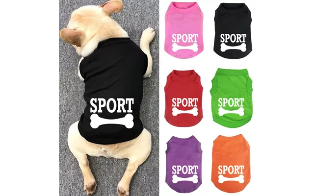 Pet Products Teddy Is Smaller Than Panda Medium And Large Dogs New Pet Clothes Vests For Spring And Summer Two Legged Cl product image