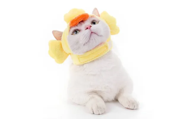 Soft Cat Headgear Cat Dog Cross Dress Pet Hat product image