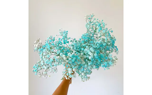Baby's Breath - Letterbox Blue White