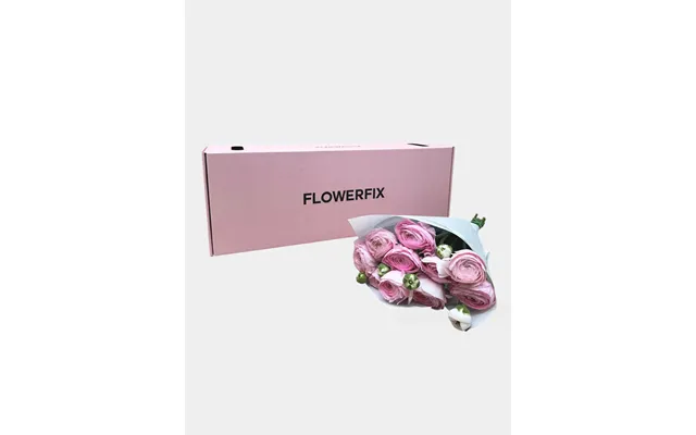 Pink Italian Ranunculus - 10 Stems