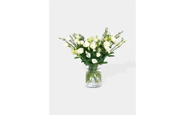 White Eustoma Lisianthus