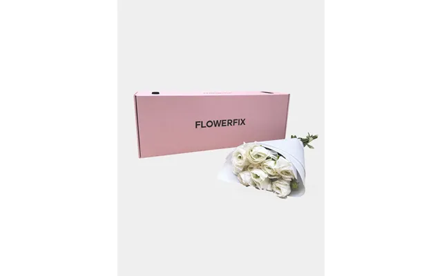 White Italian Ranunculus - 10 Stems
