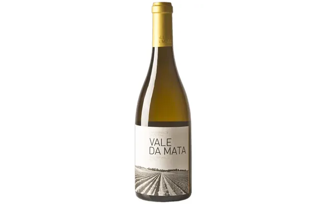 Vale De Mata White - Herdade Do Rocim