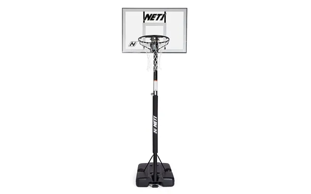 Net1 Millennium Basketball Hoop