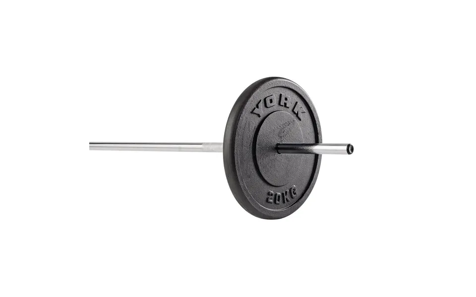 York 1 X 20kg Cast Iron 1 Weight Plate