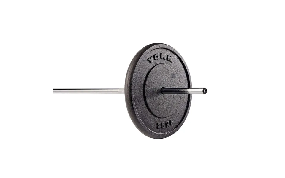 York 1 X 25kg Cast Iron 1 Weight Plate