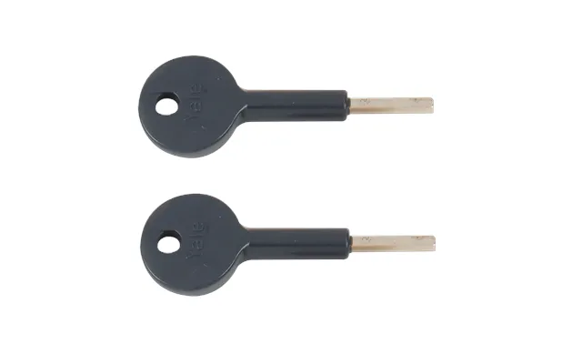 2 X Keys For 8k101 8k116 Window Lock