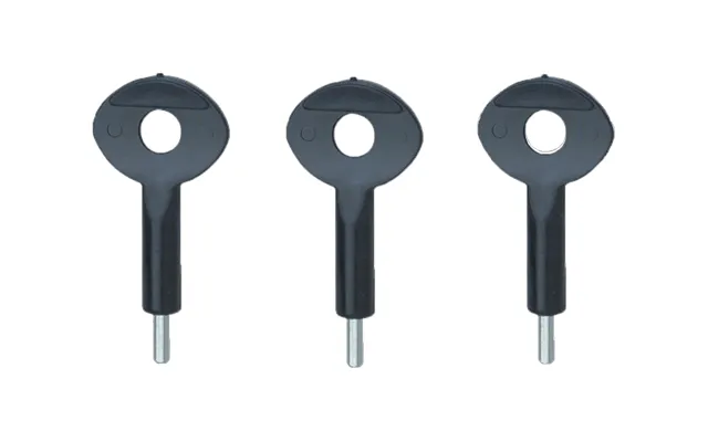 3 X Key For P-118 Auto Window Lock