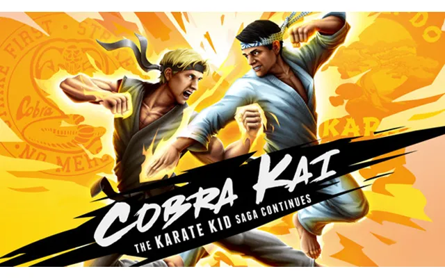 Cobra Kai The Karate Kid Saga Continues
