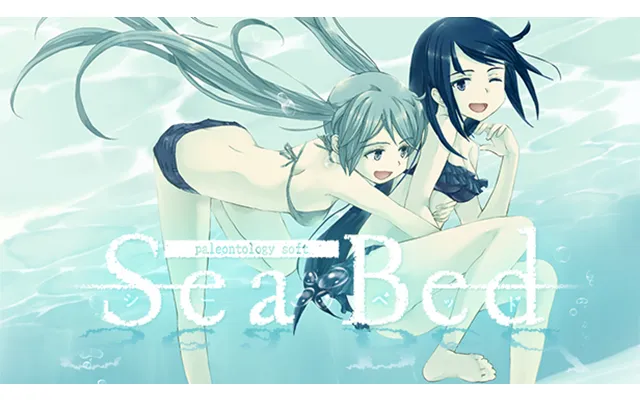 Seabed