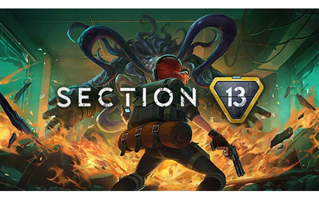 Section 13