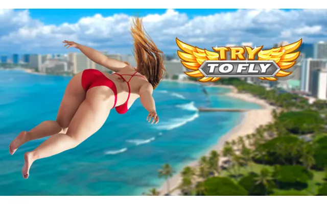 Try To Fly
