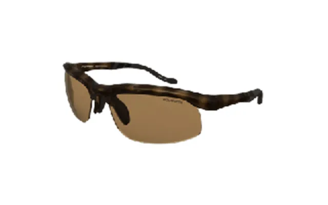 Switch Magnetic Tenaya Lake Sunglasses