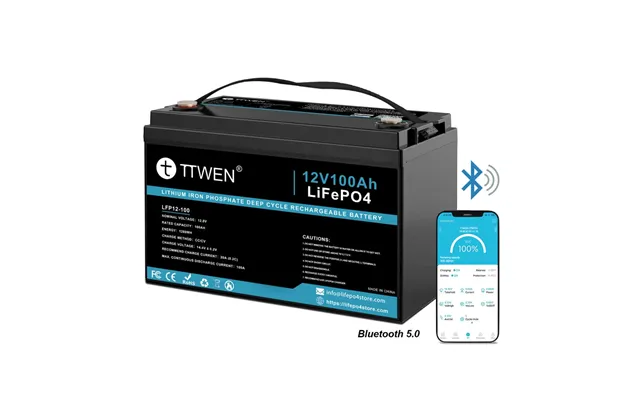 Eu Direct Ttwen 12v 100ah Bluetooth Lifepo4 Battery Pack 1280wh 4000 Cycles Superior Deep Cycle Lithium Iron Phosphate
