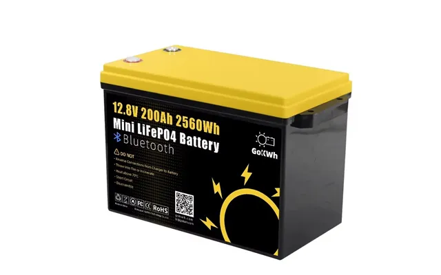 Gokwh 12v 200ah Mini Bluetooth Lifepo4 Battery Built-in Bluetooth Bms 2560wh Lifepo4 Lfp Ip65 Protection