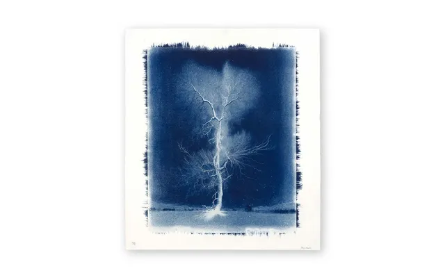 Electrified Oak