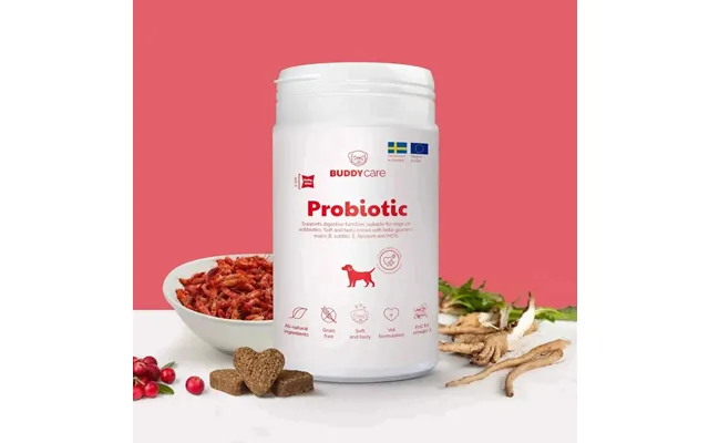 Buddycare - Probiotic