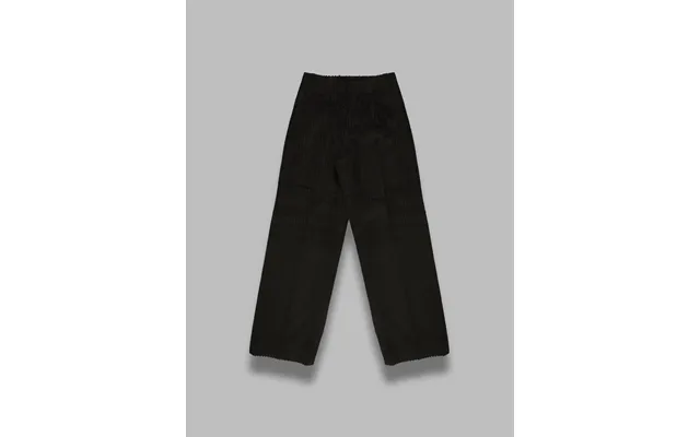 Borrowed Chino