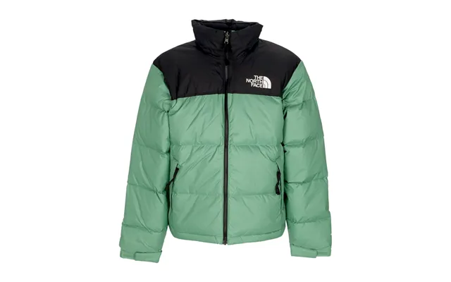 Men's 1996 Retro Nuptse Down Jacket Deep Grass Green