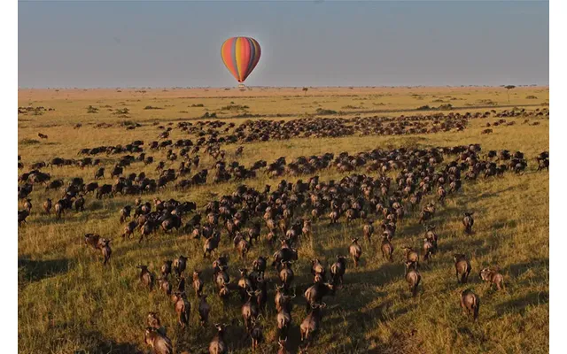 Kenyaâ S Immersive Samburu & Mara product image