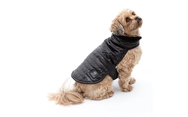 Akc Belly Band Dog Puff Coat - Black