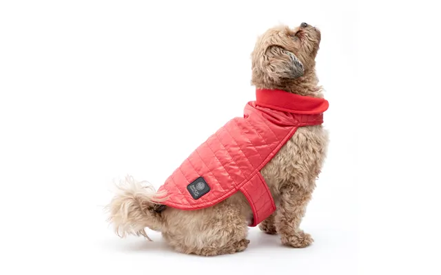 Akc Belly Band Dog Puff Coat - Red