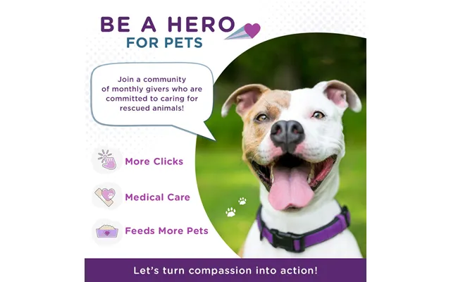 Be A Hero For Pets