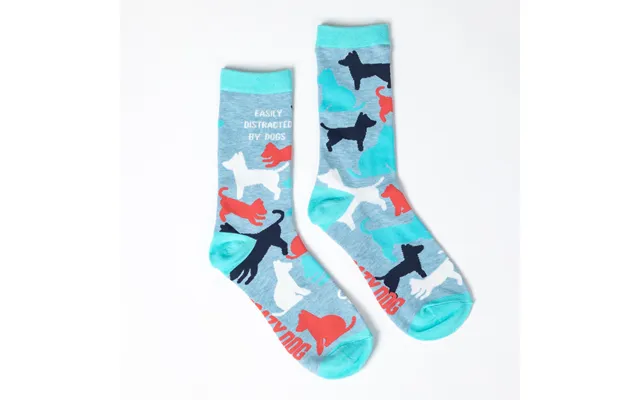 Cheeky Pet Saying Socks - Easily Distracted By Dogs
