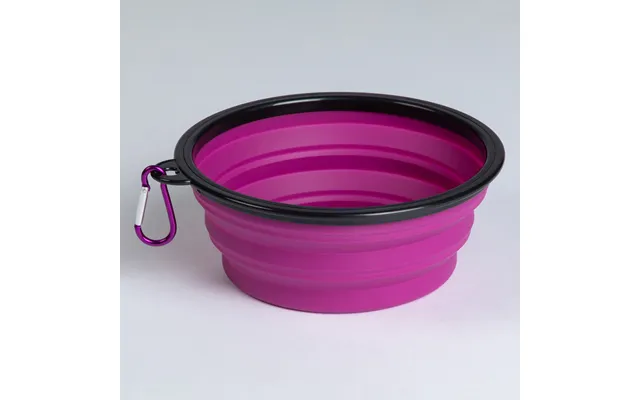 Collapsible Silicone Travel Pet Bowl
