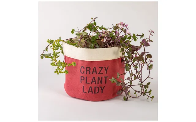 Crazy Plant Lady Indoor Planter Cover